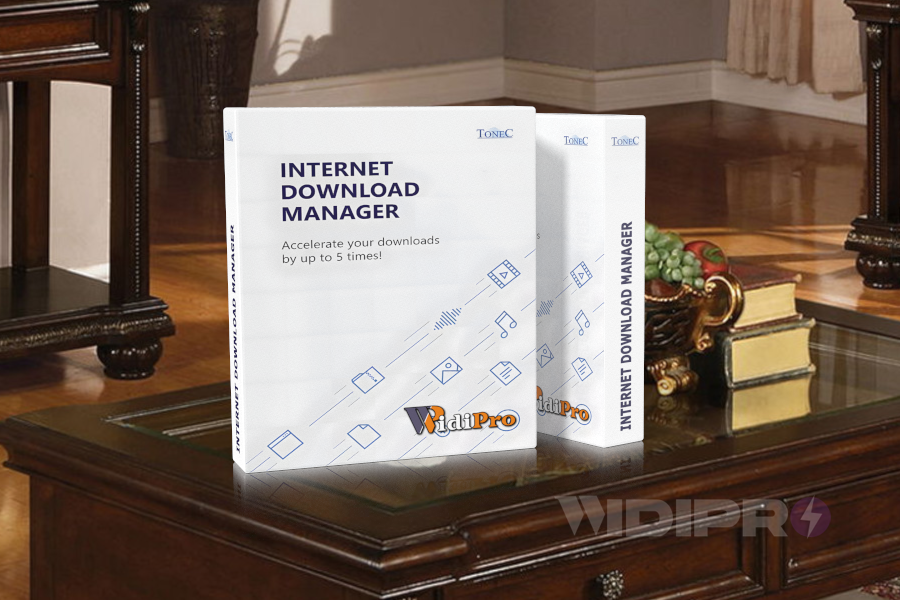 Internet Download Manager